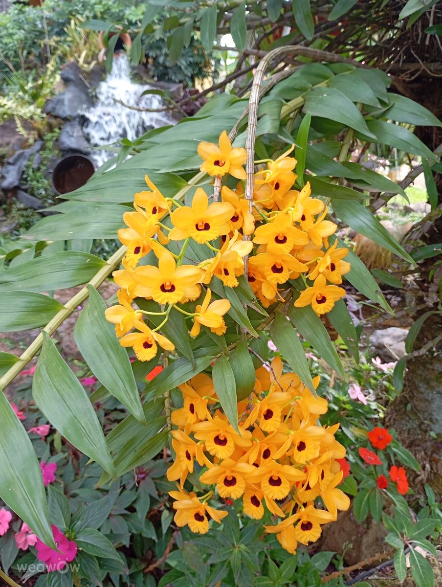 Minas Gerais的天气照片. 天气预报，带Marii精美的照片