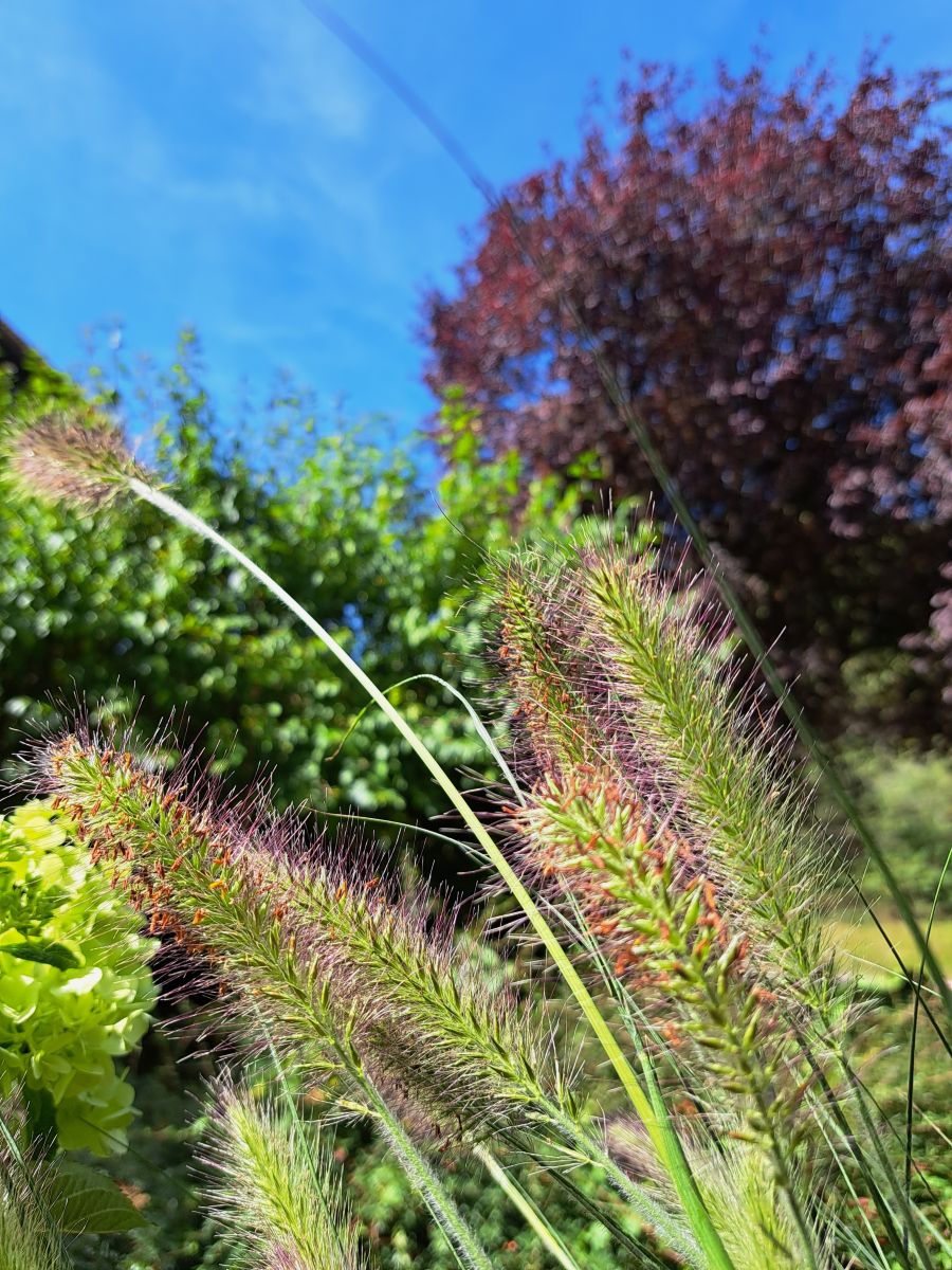 Weather Photos in Engelskirchen. Weather forecasts with beautiful photos by NikolausMinas