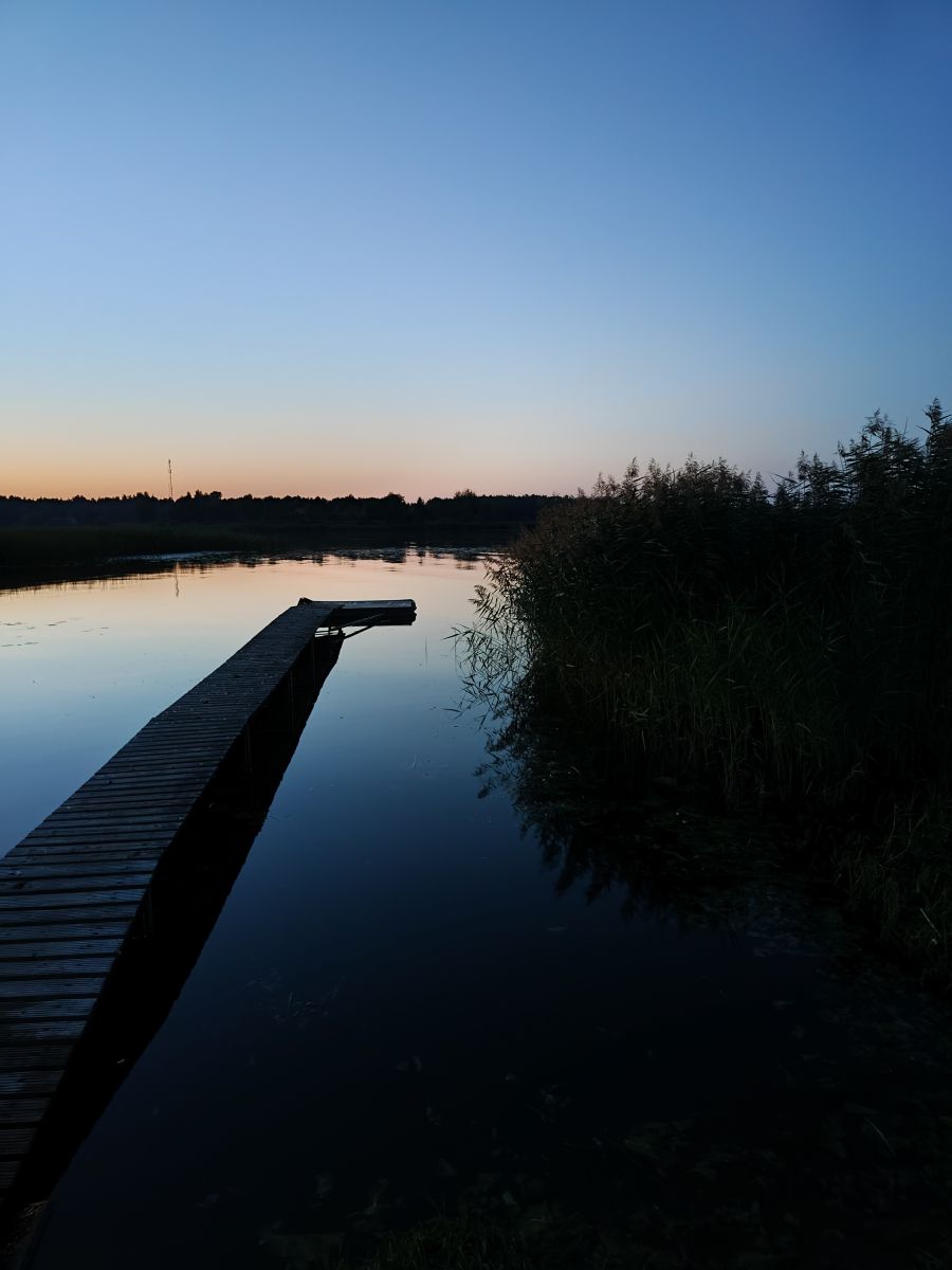 Photographer Olgert, Weather Photos in Lielupe - Weawow