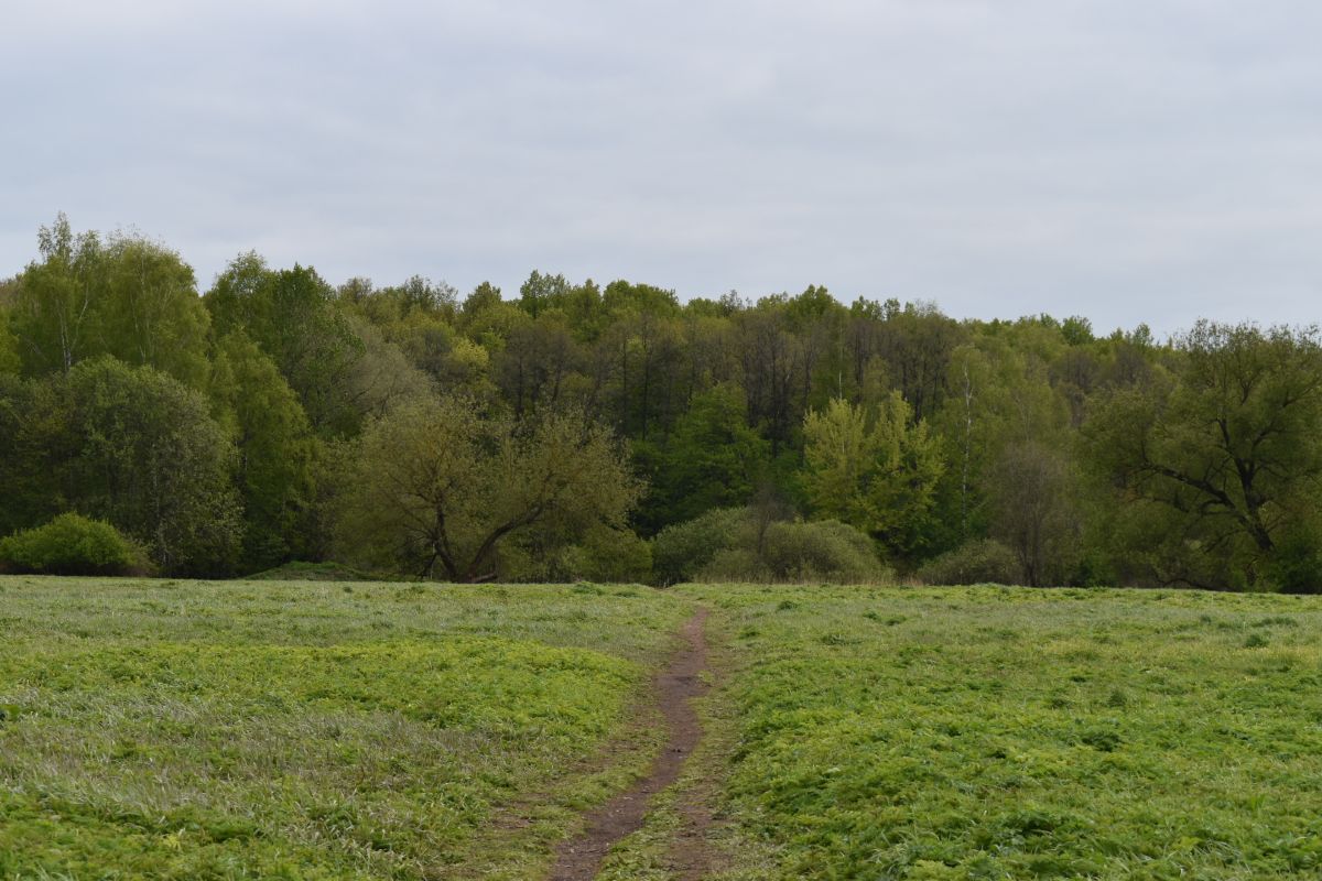Photographer Amanda_and_Valdemar_Che, Weather Photos in Izmaylovo District - Weawow