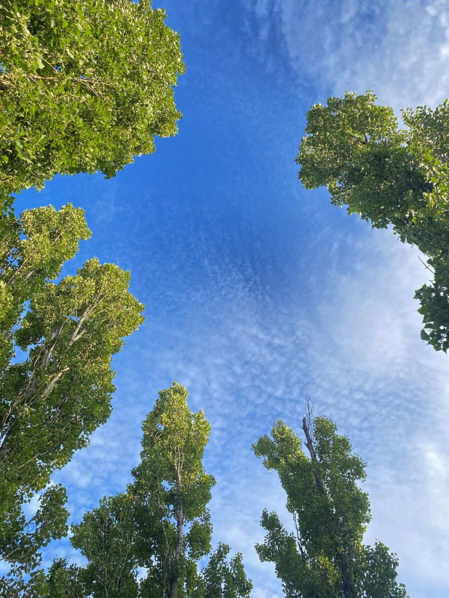 Weather Photos in Poltava. Weather forecasts with beautiful photos by Larusya
