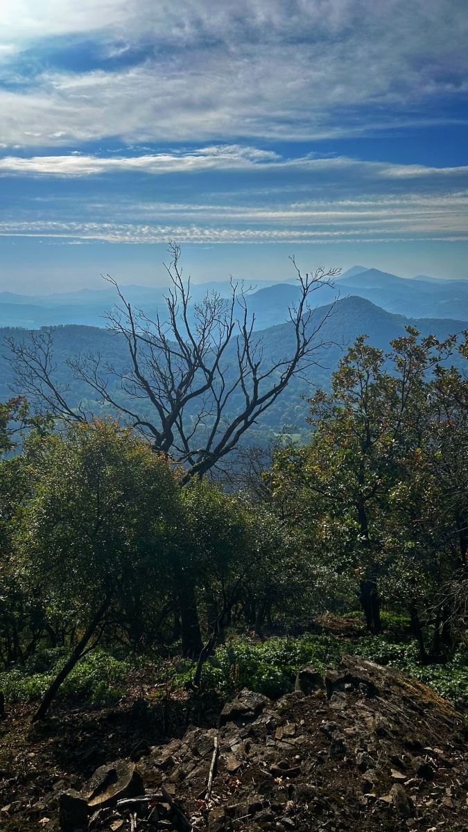 Weather forecasts with beautiful photos by Ficus09