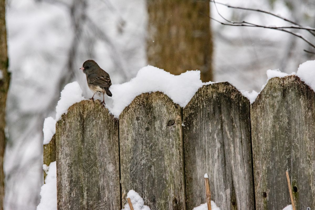 Photos météo à Indiana. Prévisions météo avec de superbes photos de krantzjh