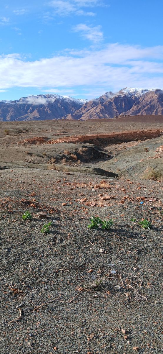 Weather Photos in Algeria. Weather forecasts with beautiful photos by BELGHOUL-KADDA