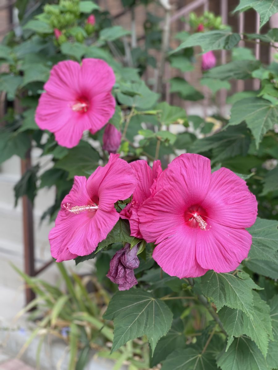 Weather Photos in Anapa. Weather forecasts with beautiful photos by Vera22