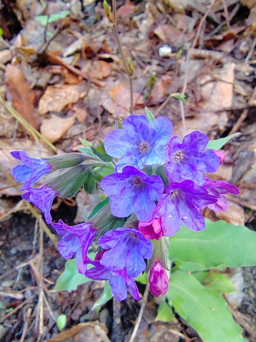 Photographer Albert_Smelovtsev, Weather Photos in Roza Khutor - Weawow