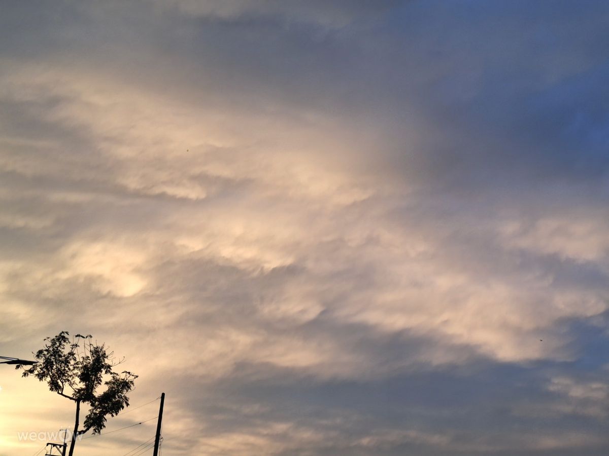 Photographer Wen-ya Huang, Weather Photos in Kaohsiung City - Weawow