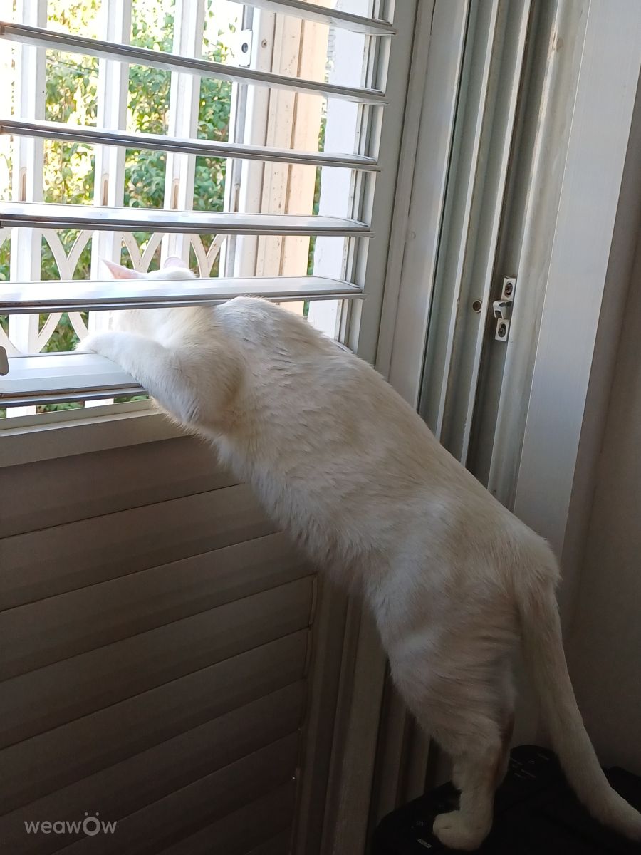 Photos météo à Holon. Prévisions météo avec de superbes photos de Zaza