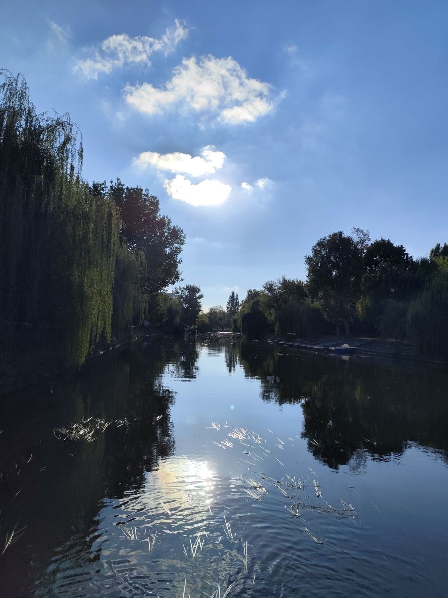 Weather Photos in Timișoara. Weather forecasts with beautiful photos by Lupsaman
