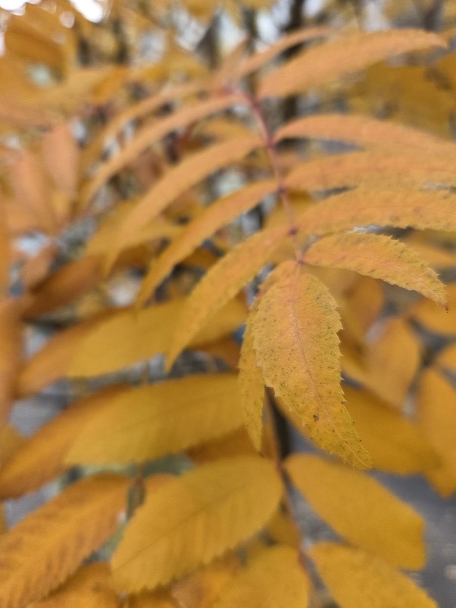 Wetter Photos Dnipro. Wettervorhersagen mit schönen Fotos von Катя Пулинец