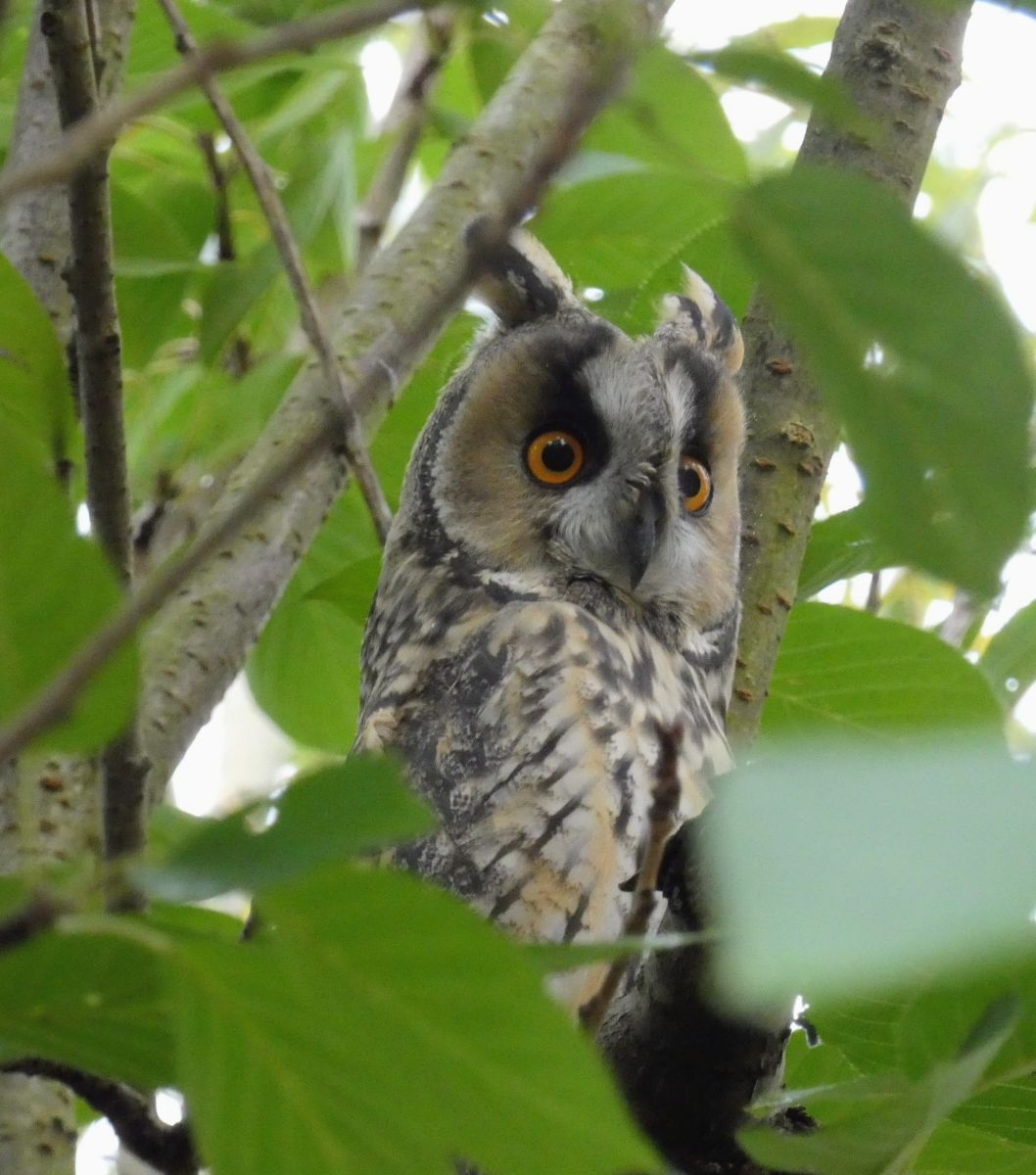 Фотографии Погоды в Elsfleth. Прогнозы погоды с чудесными фотографиями, сделанными fwerner