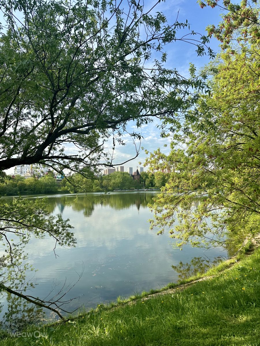 Photographer Ritha, Weather Photos in Izmaylovo - Weawow