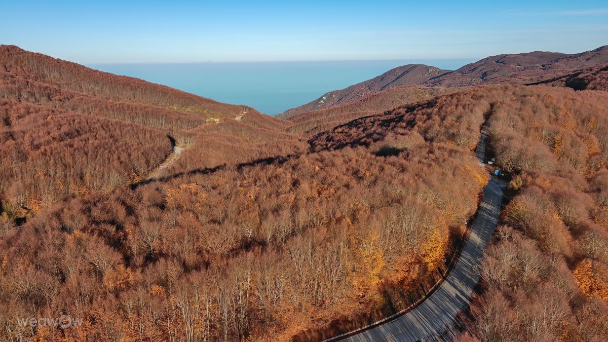 Прогнозы погоды с чудесными фотографиями, сделанными Antony_Bouchagier78