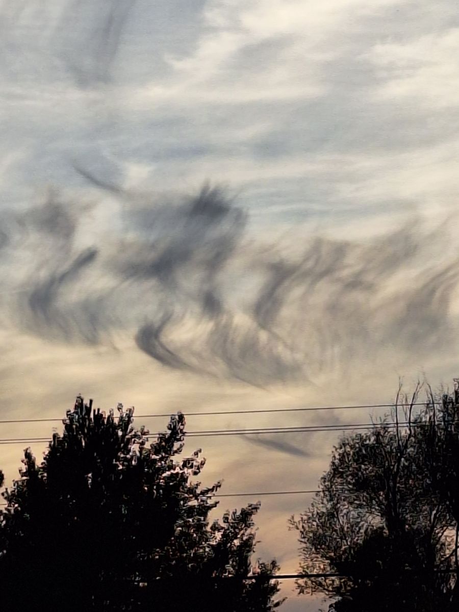 Photographer ccdn0630, Weather Photos in Barrie - Weawow