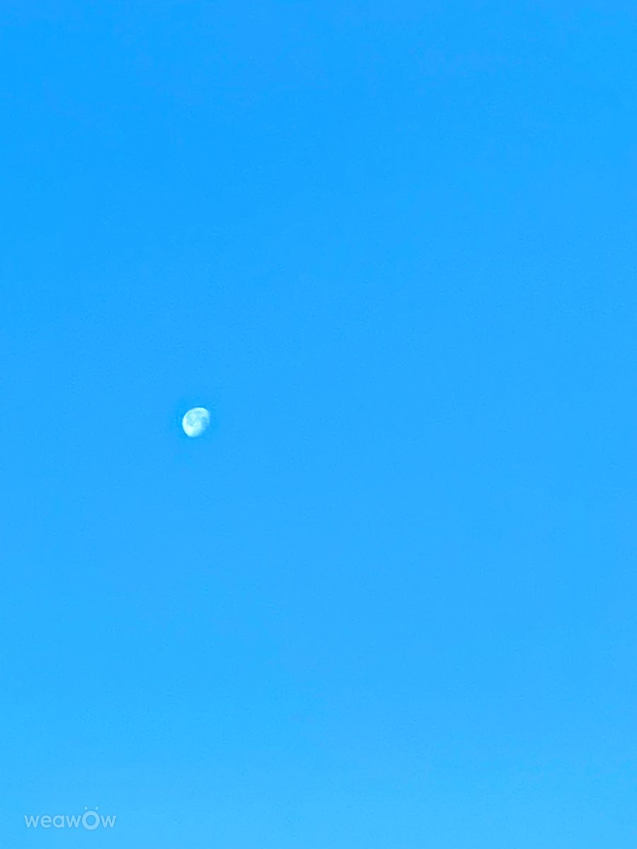 Фотографии Погоды в le Plateau. Прогнозы погоды с чудесными фотографиями, сделанными Lulu5523