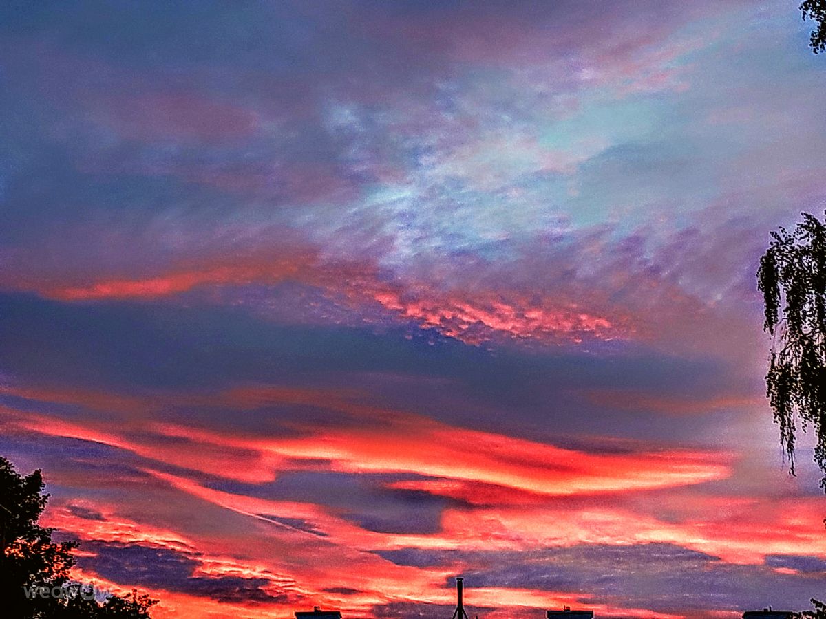 Weather Photos in Gdansk. Weather forecasts with beautiful photos by Wiesiek