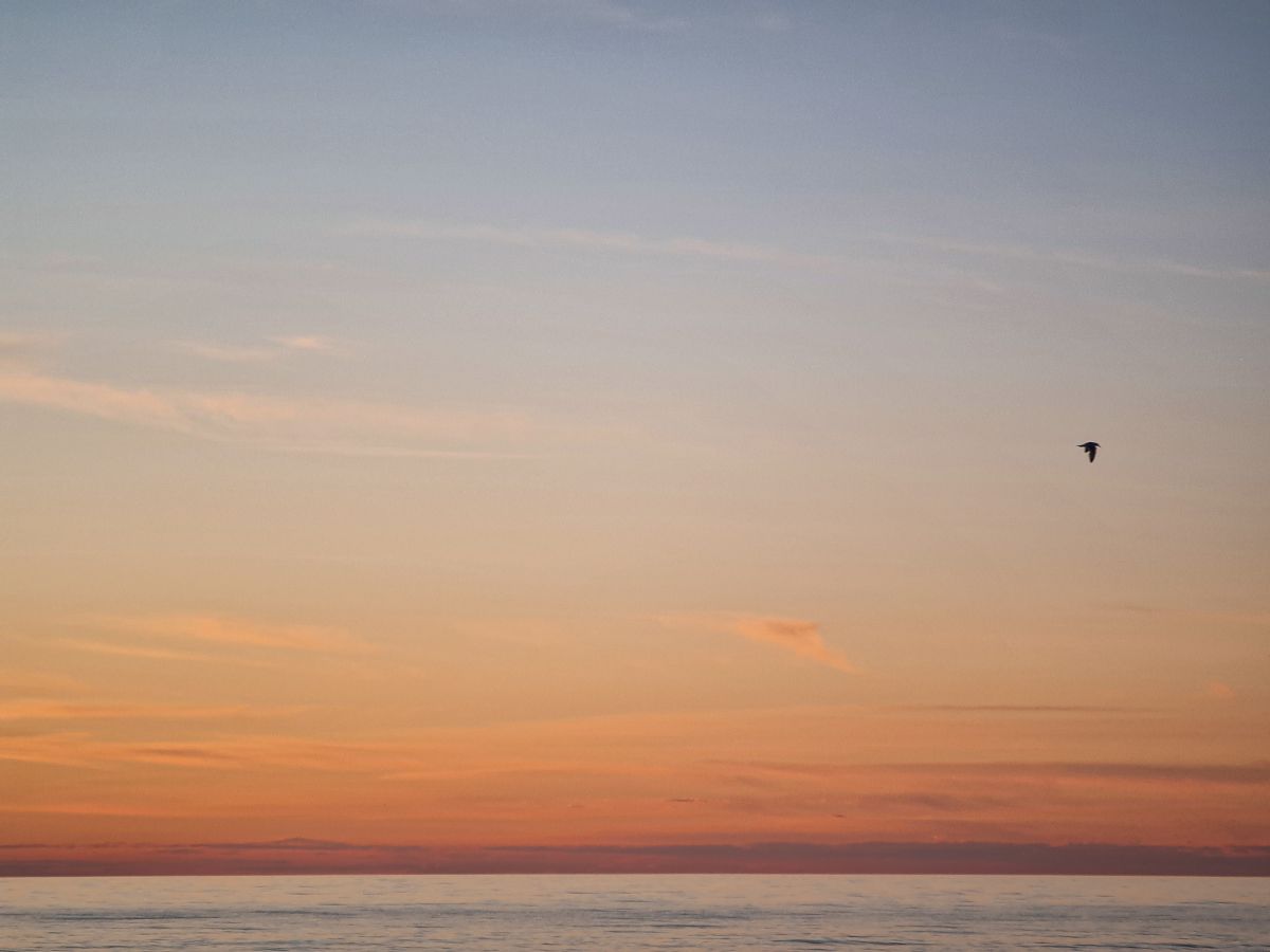 Weather Photos in Ida-Virumaa. Weather forecasts with beautiful photos by Ilja Skippar