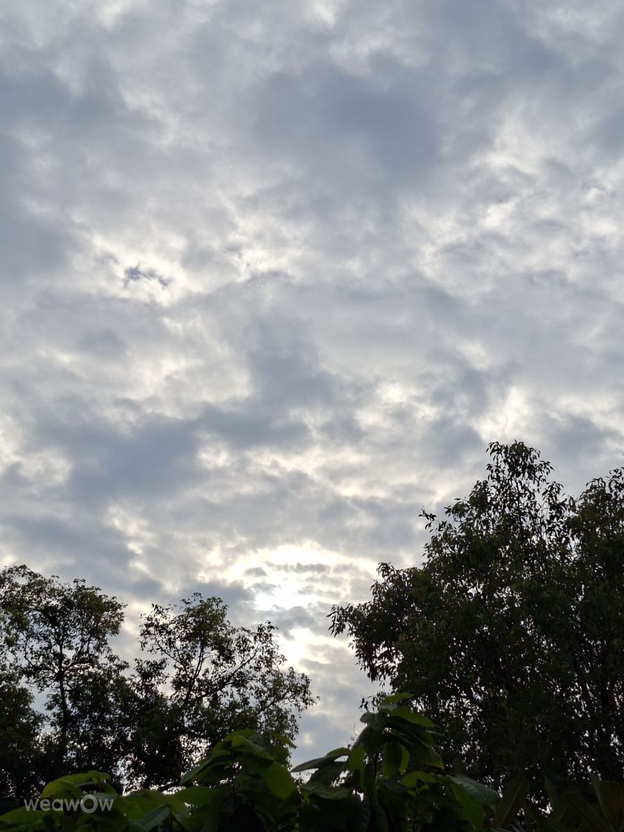 世界の天気写真. Wen-ya Huangの美しい写真による天気予報