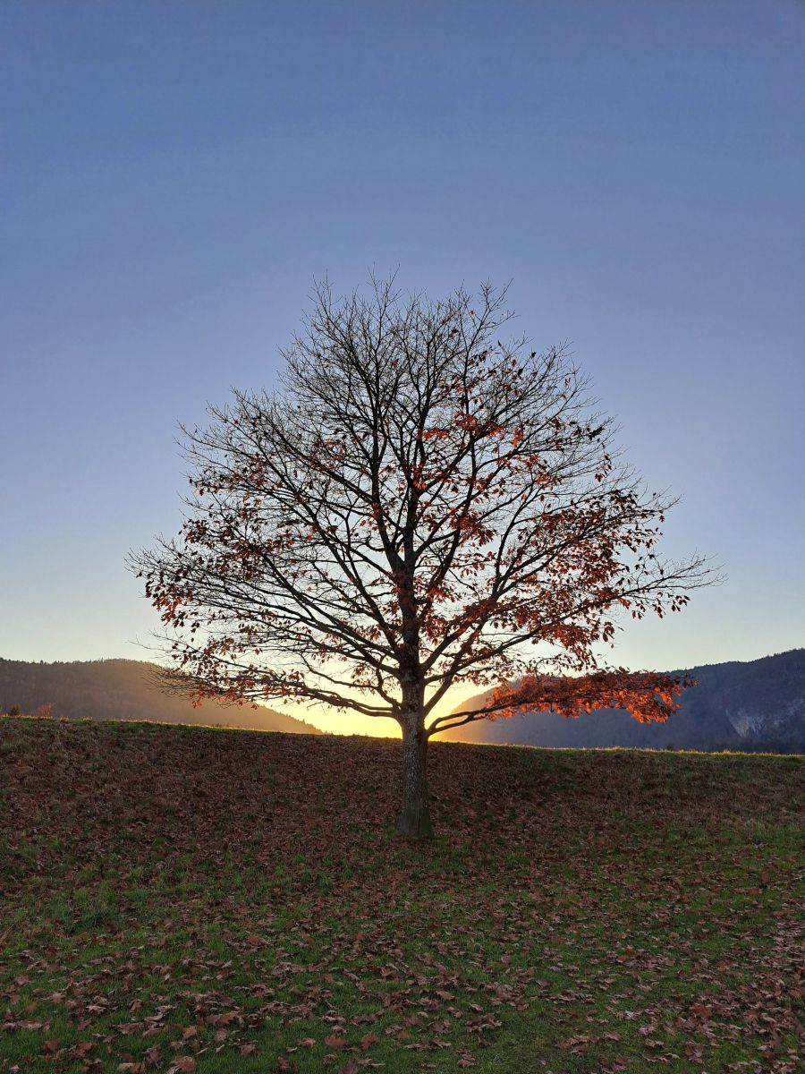 Weather Photos in Villach. Weather forecasts with beautiful photos by Asarii