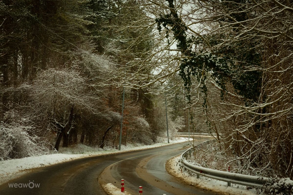 Previsões do tempo com lindas fotos de Todorfromvarna