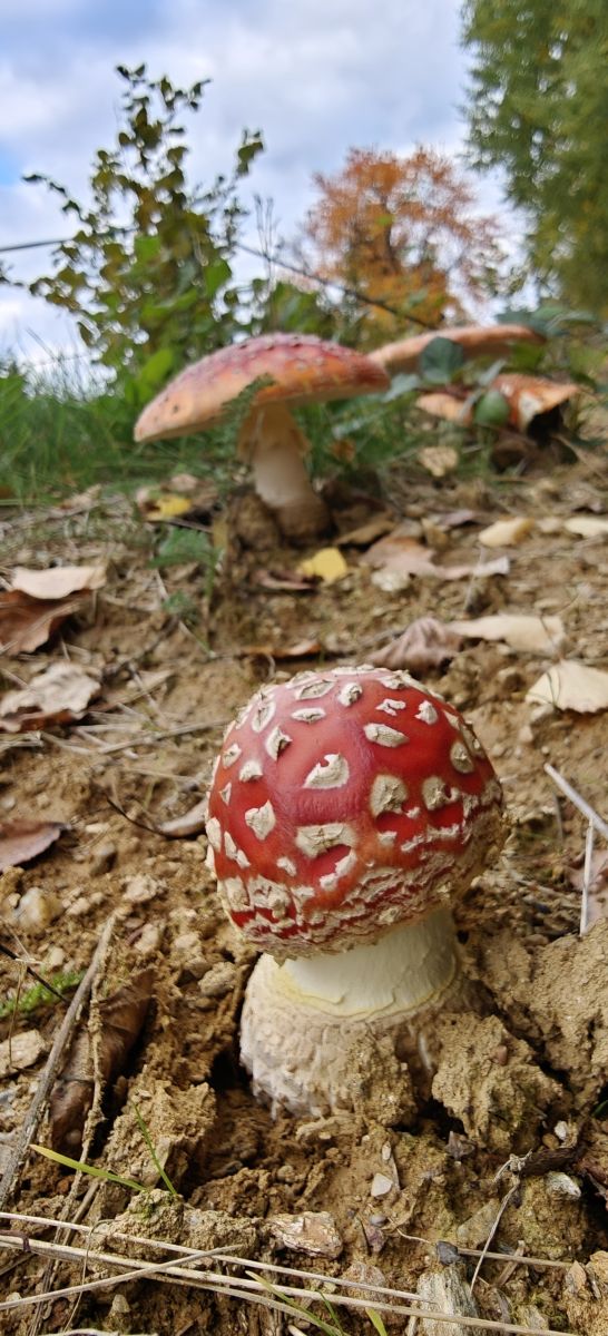 Photos météo à Bihor. Prévisions météo avec de superbes photos de MakiCami