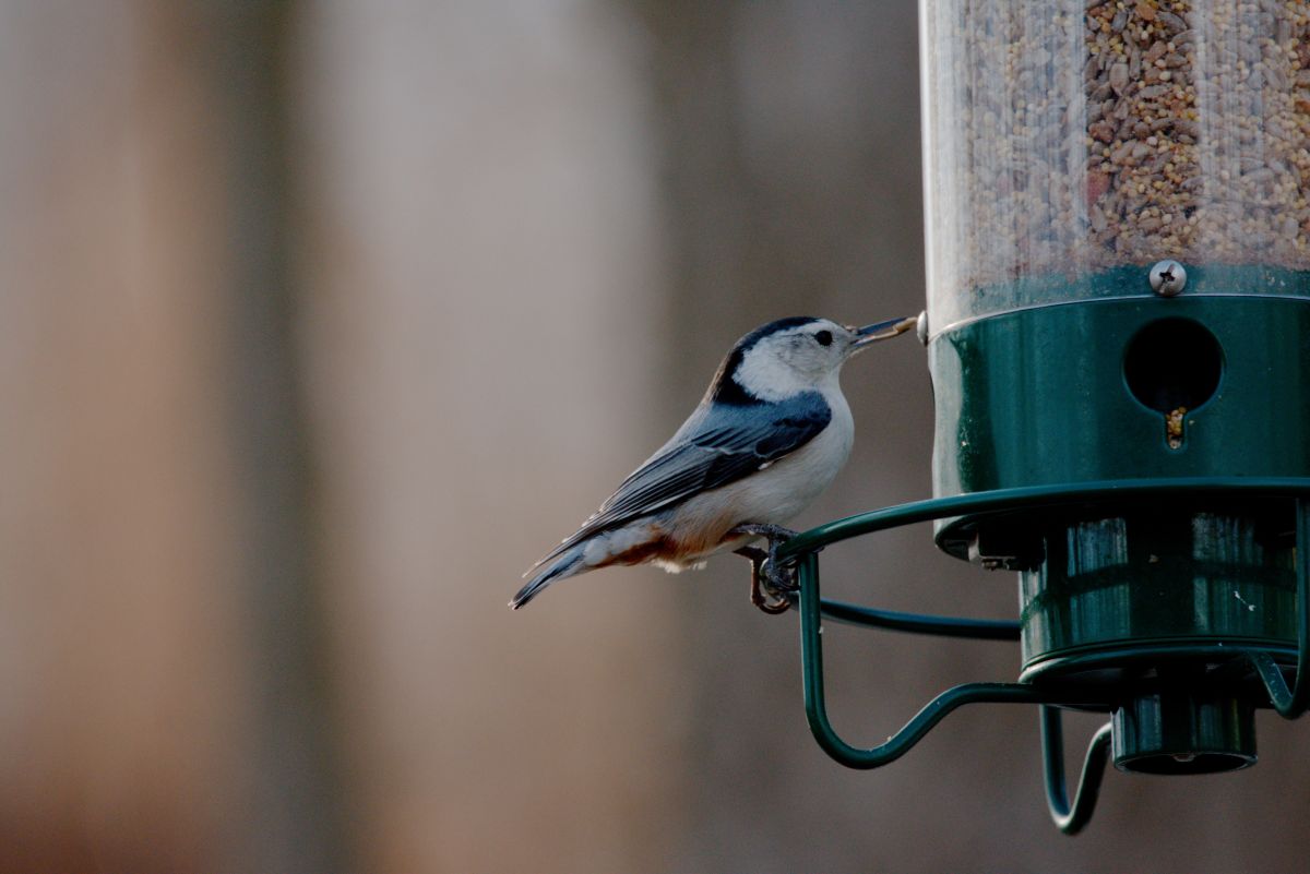 Фотографии Погоды в Hanover. Прогнозы погоды с чудесными фотографиями, сделанными krantzjh