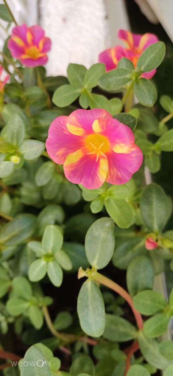 Photos météo à Holon. Prévisions météo avec de superbes photos de Zaza