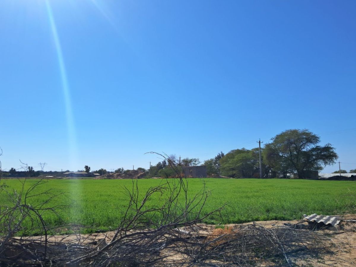 Wetter Photos Buschehr. Wettervorhersagen mit schönen Fotos von Viana