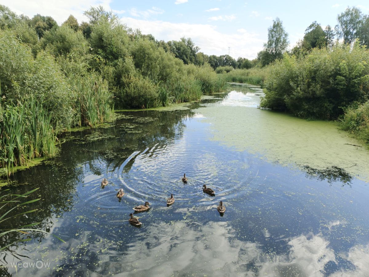 Fotos do tempo em Mikhnevo. Previsões do tempo com lindas fotos de andreyrud_76