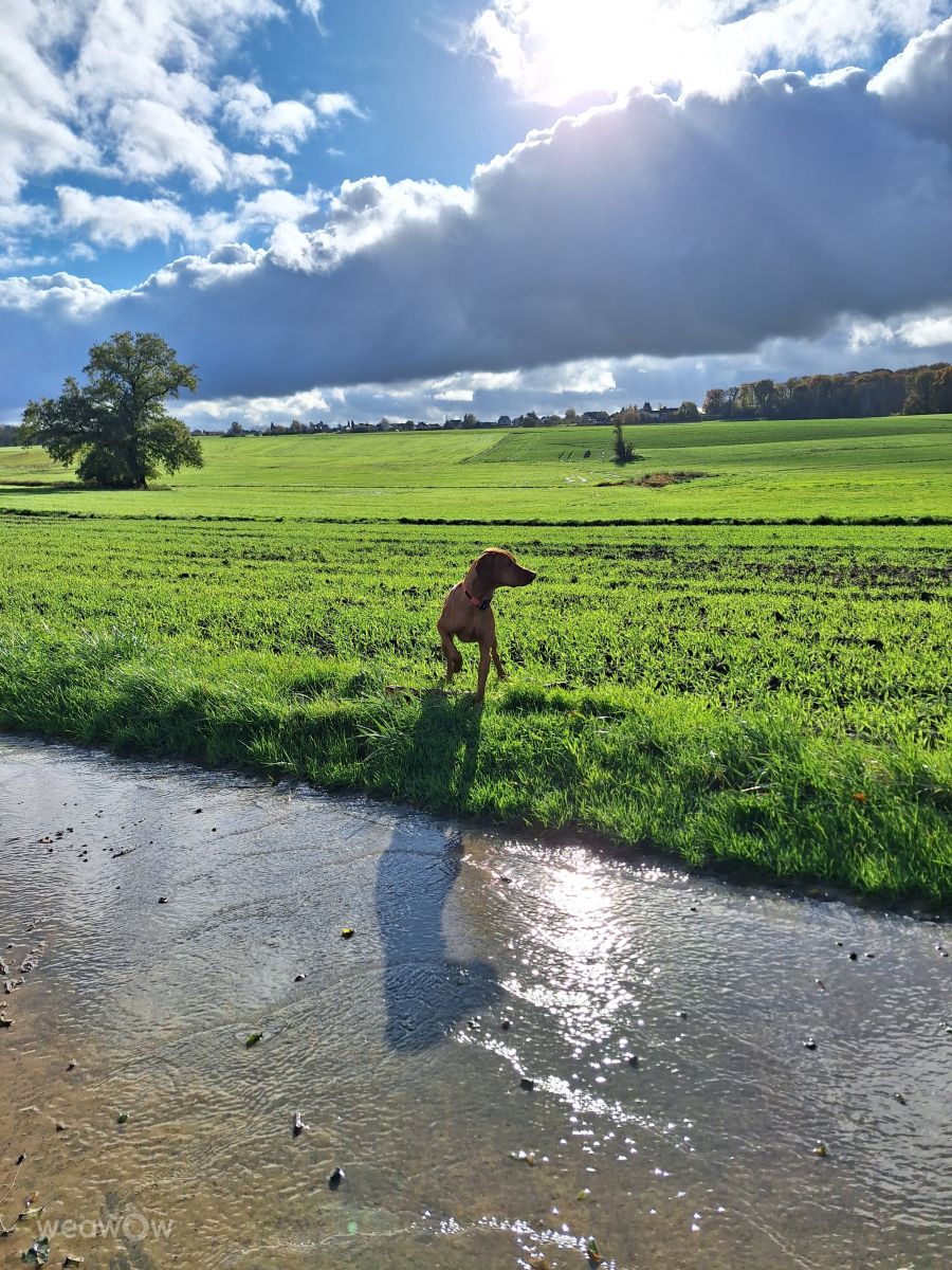 Weather forecasts with beautiful photos by lremmy