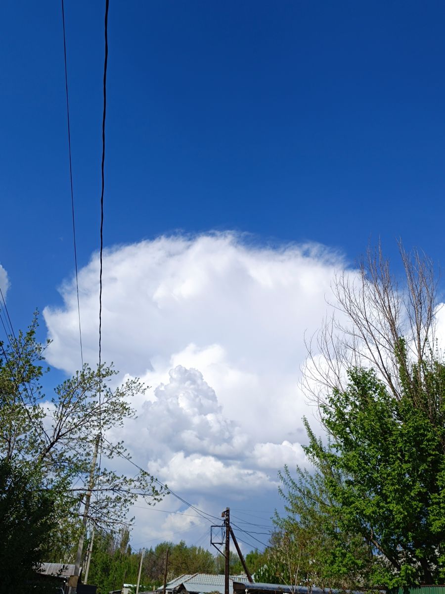 Weather forecasts with beautiful photos by Talantbekov