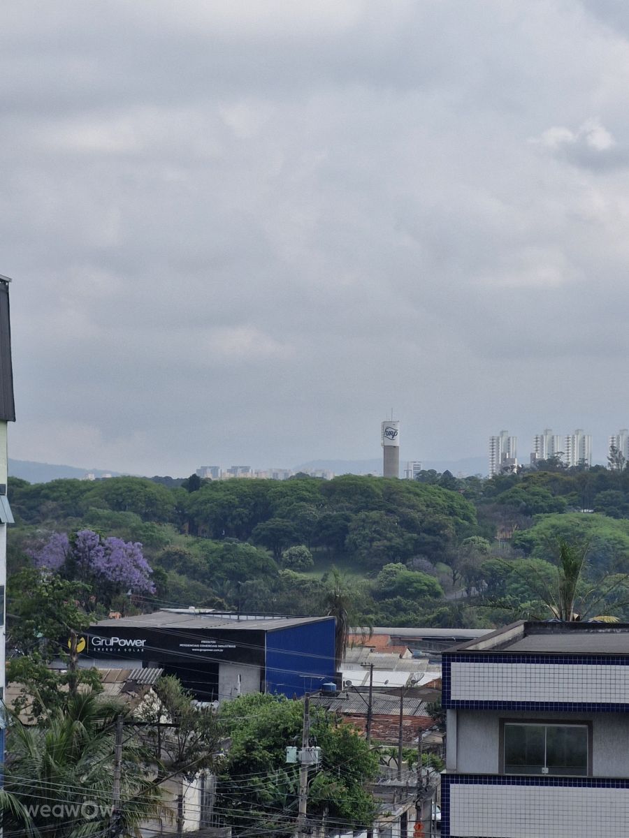 Photographer Taty Franzolin, Weather Photos in 07044-010 - Weawow