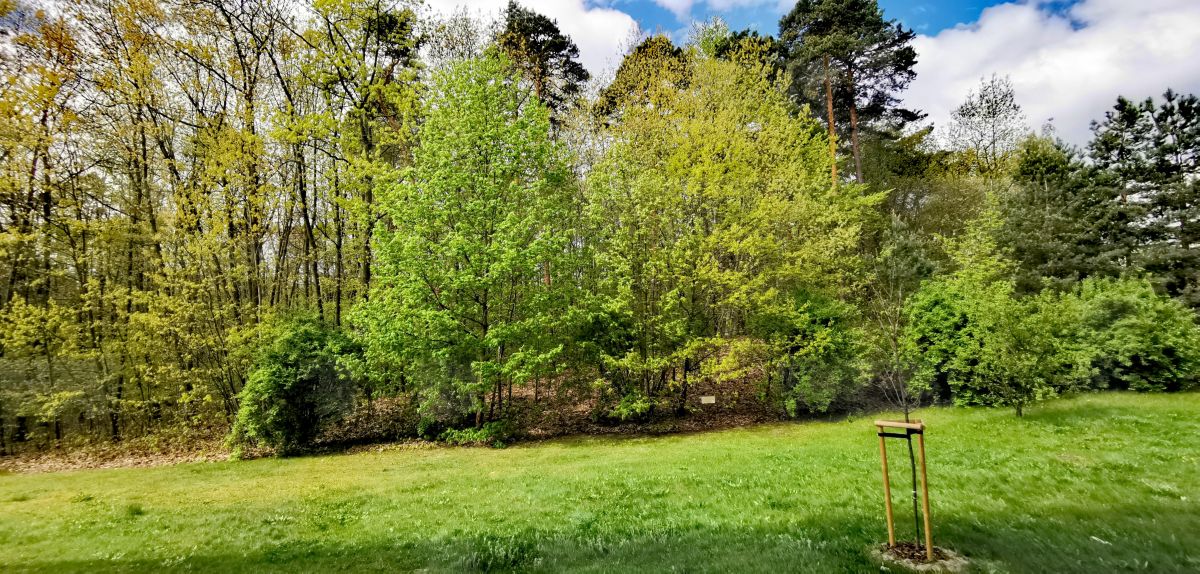 Фотографии Погоды в Сталёва-Воля. Прогнозы погоды с чудесными фотографиями, сделанными dcalq3dneopl