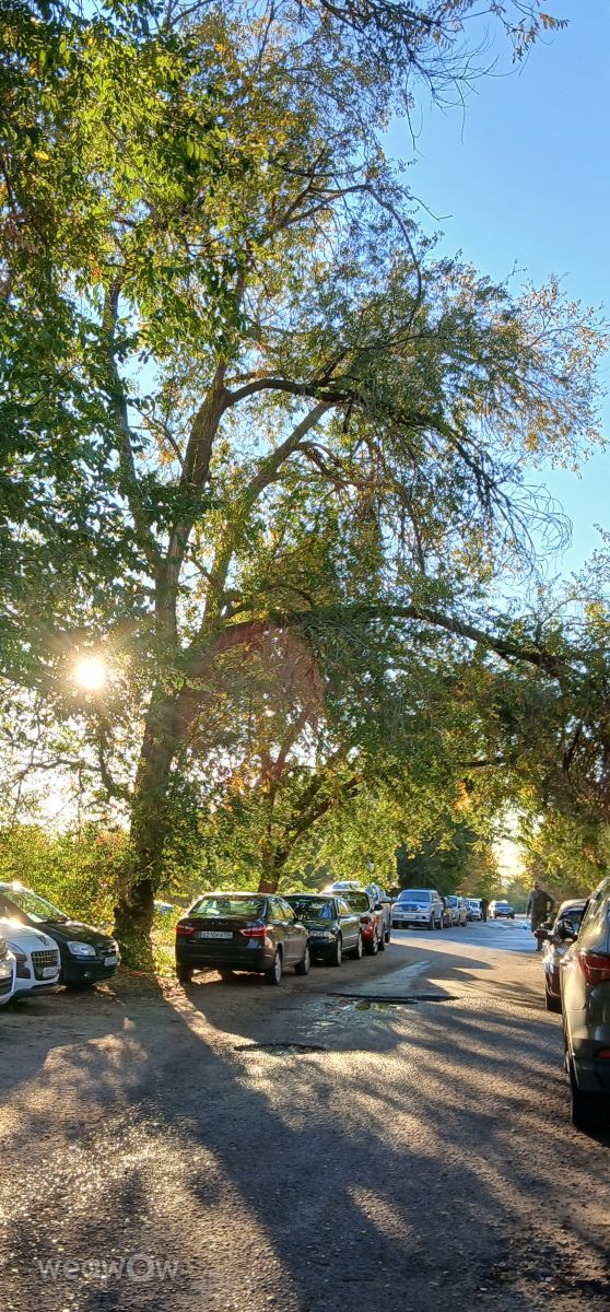 Volgogradskaya Oblast'的天气照片. 天气预报，带Элла精美的照片