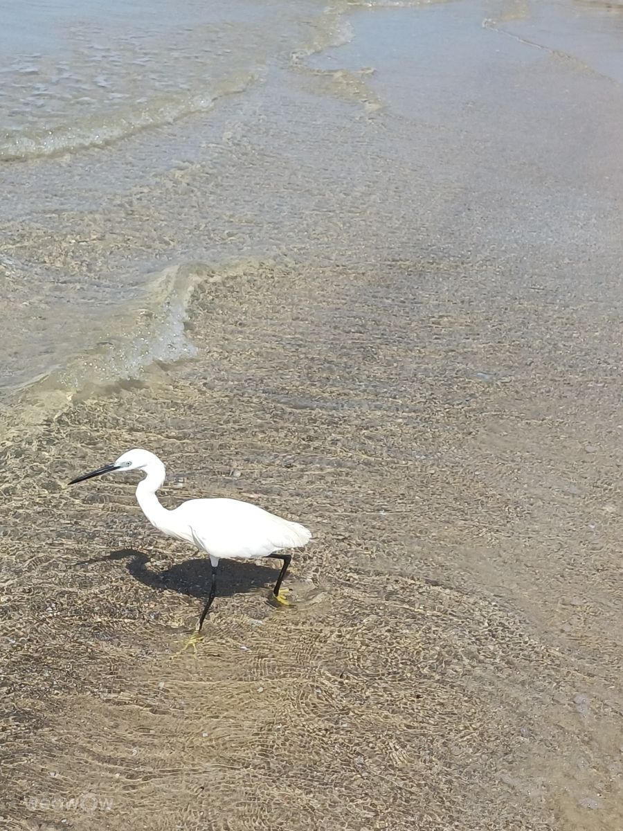 Fotos sobre el clima en Bat Yam. Pronósticos del tiempo con hermosas fotos de Zaza