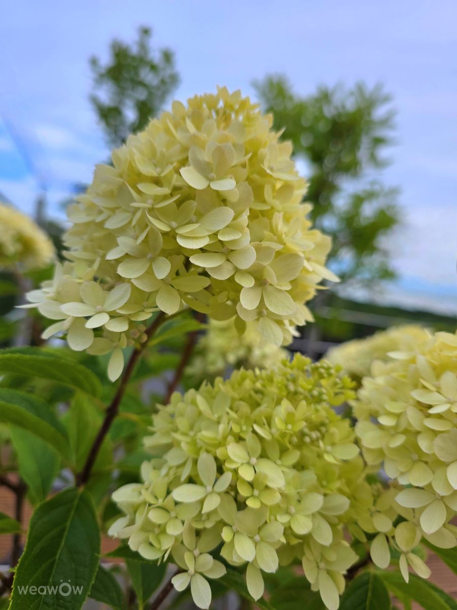 Wetter Photos Velbert. Wettervorhersagen mit schönen Fotos von Seni