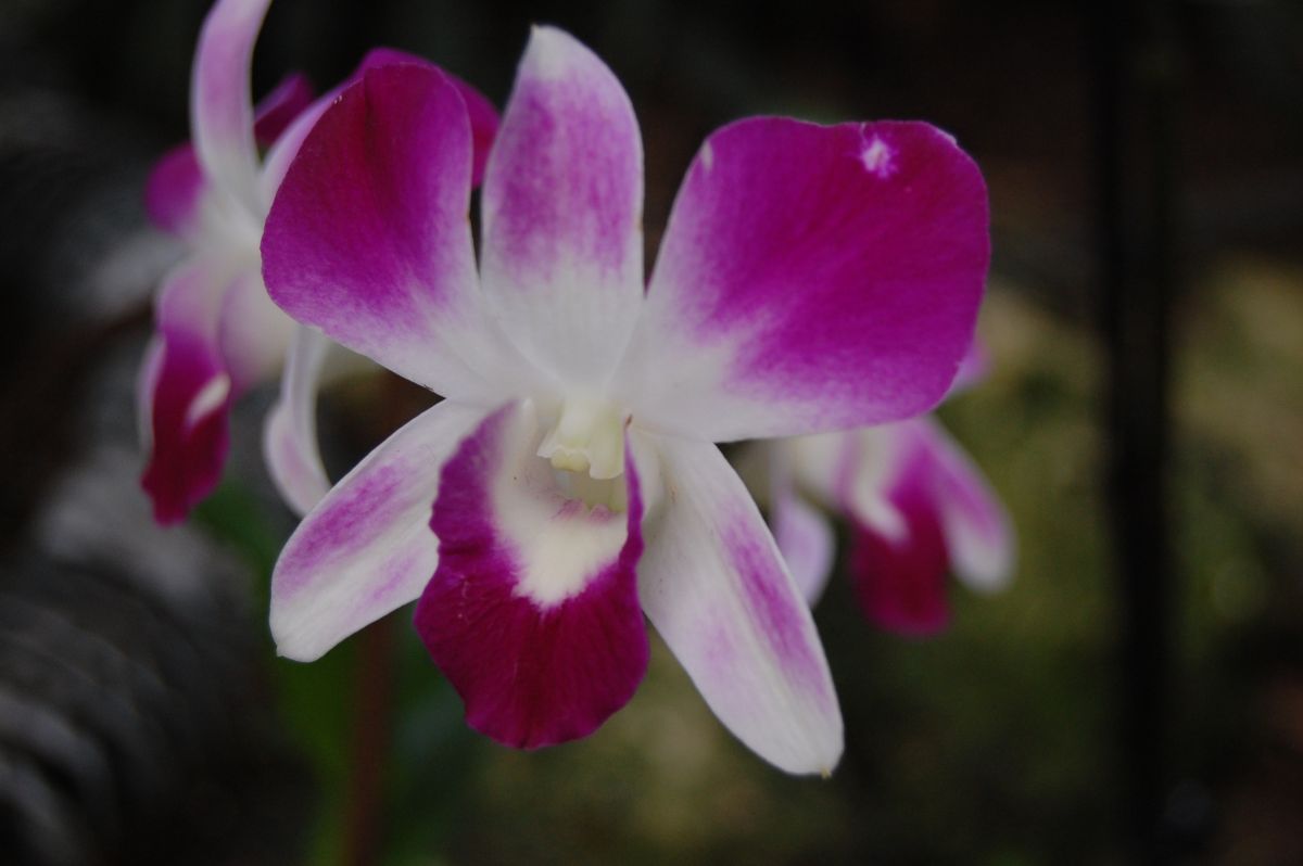 Weather Photos in Palestine. Weather forecasts with beautiful photos by Sviatoslav