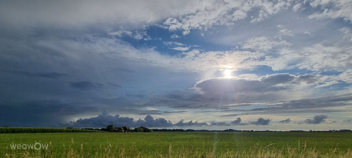 Photographer DaB, Weather Photos in Koudekerke - Weawow