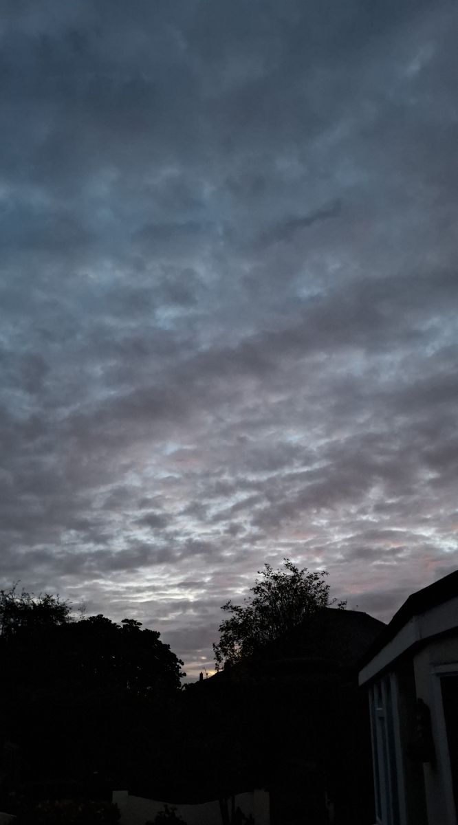 Photos météo à Maidstone. Prévisions météo avec de superbes photos de Lolli