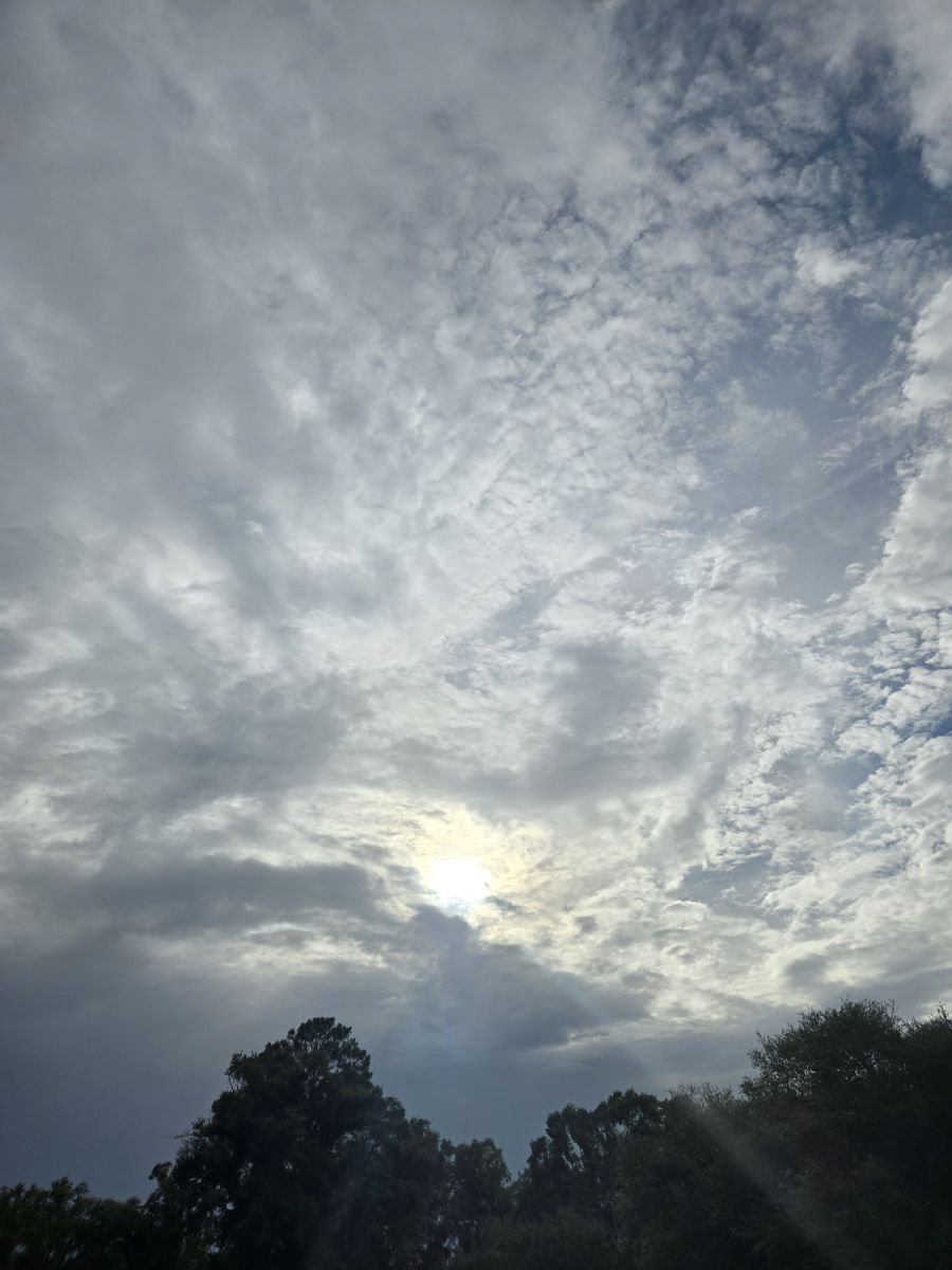 Weather Photos in United States. Weather forecasts with beautiful photos by davidallport