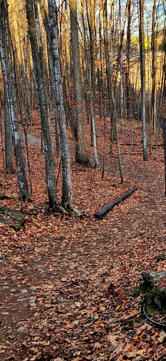 Фотограф KevinG, Фотографии Погоды в Ward 4 - Weawow