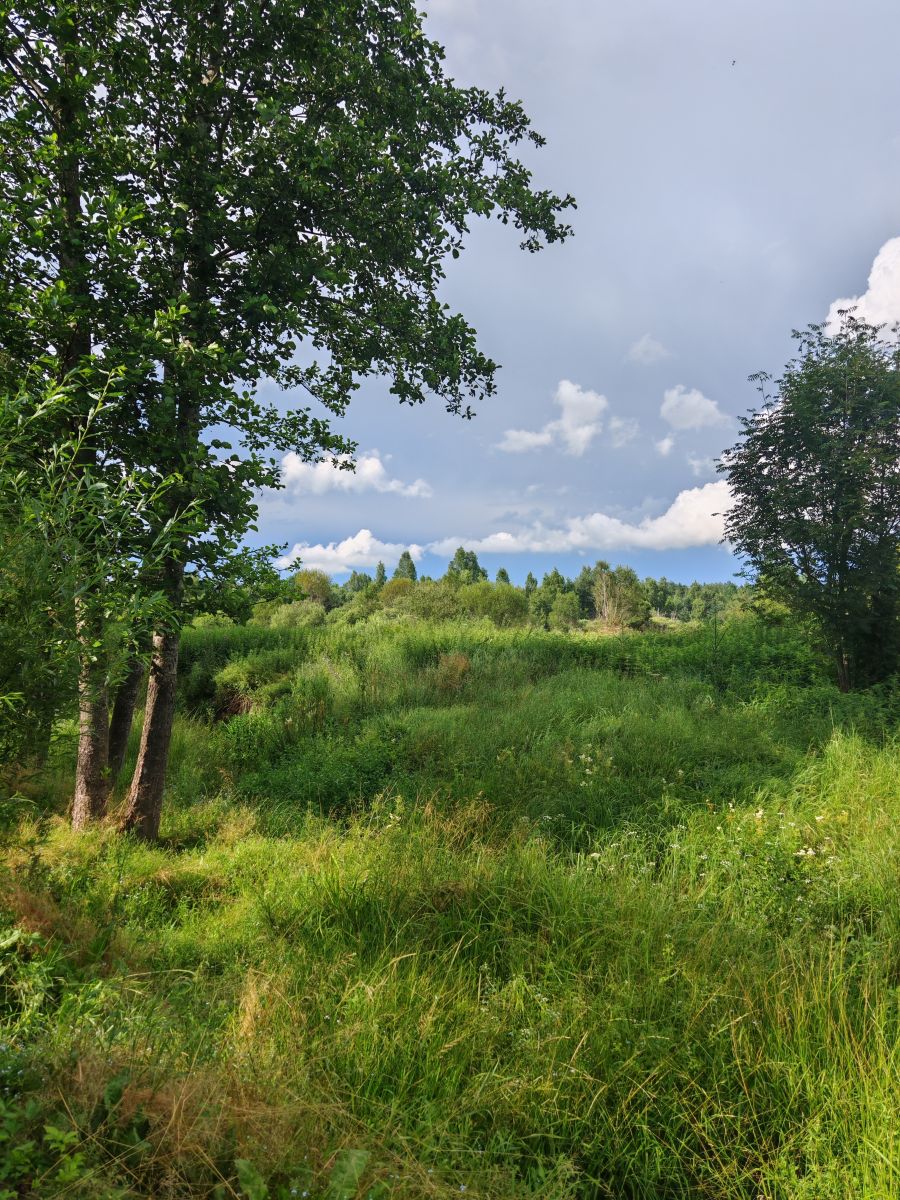 Weather Photos in Pskov Oblast. Weather forecasts with beautiful photos by HelenR2