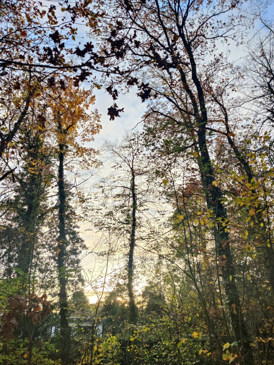 Photographe Zorrra, Photos météo à Kladow - Weawow