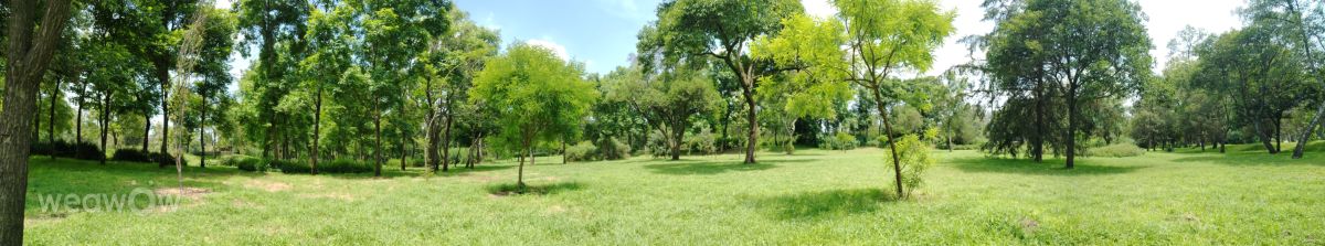 Fotos sobre el clima en México. Pronósticos del tiempo con hermosas fotos de Eriq Pheres Loshola