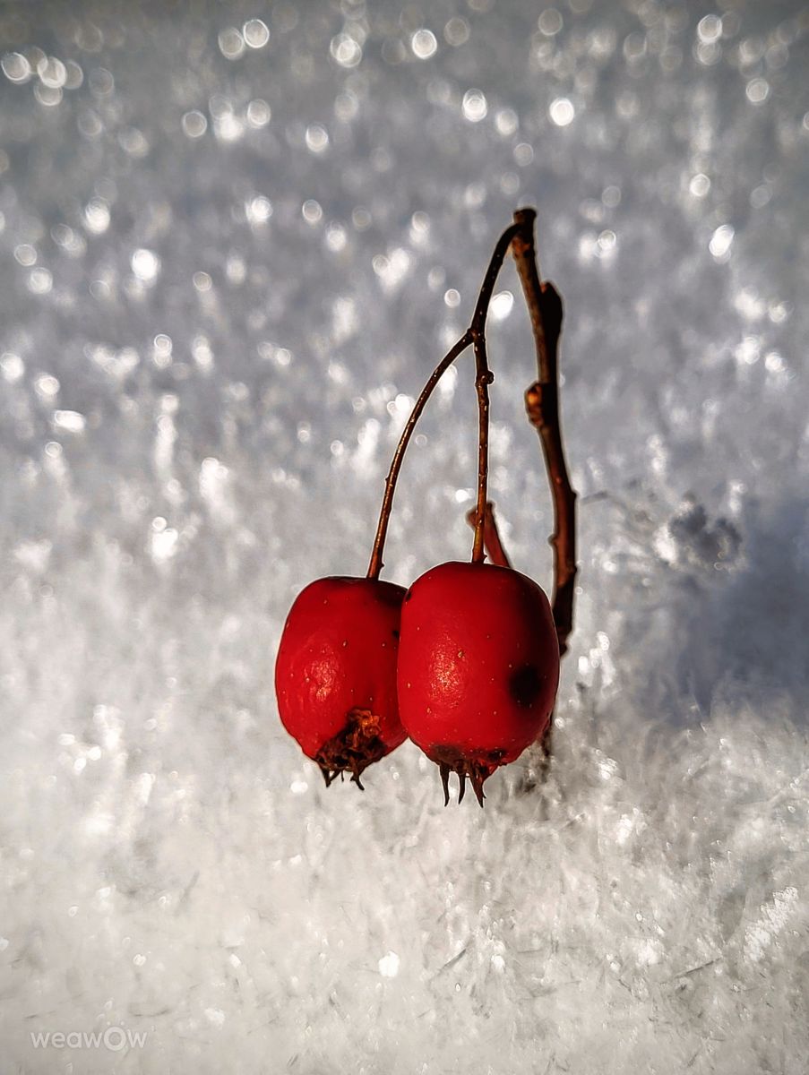 Plzeň Regionの天気写真. hejpetrpepaの美しい写真による天気予報