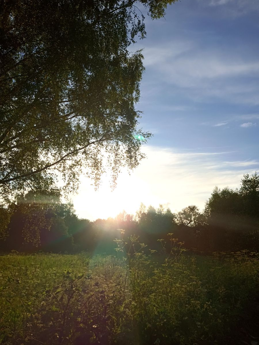 Photographer Amanda_and_Valdemar_Che, Weather Photos in Izmaylovo District - Weawow