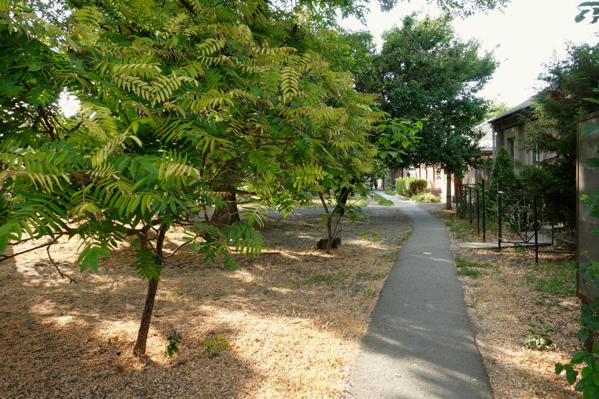 Fotos sobre el clima en Taganrog. Pronósticos del tiempo con hermosas fotos de marimouse3