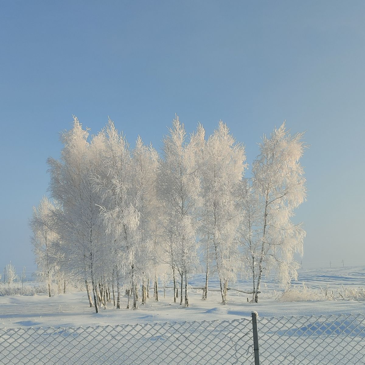 Weather forecasts with beautiful photos by Villi