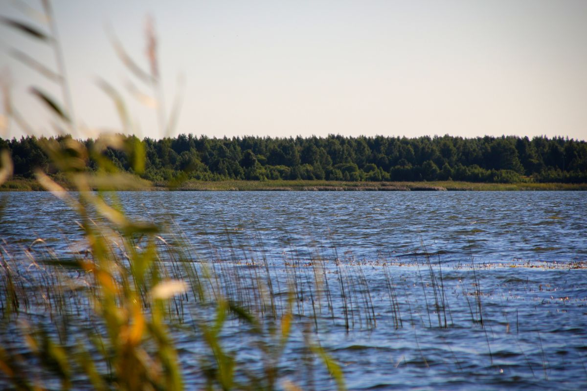 ズラトウーストの天気写真. rx9cigの美しい写真による天気予報