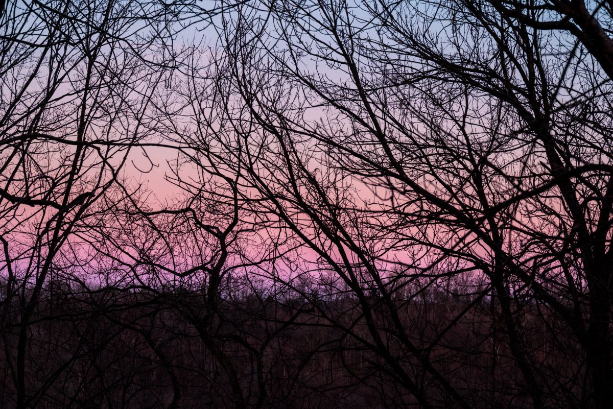 Фотограф krantzjh, Фотографии Погоды в Hanover - Weawow